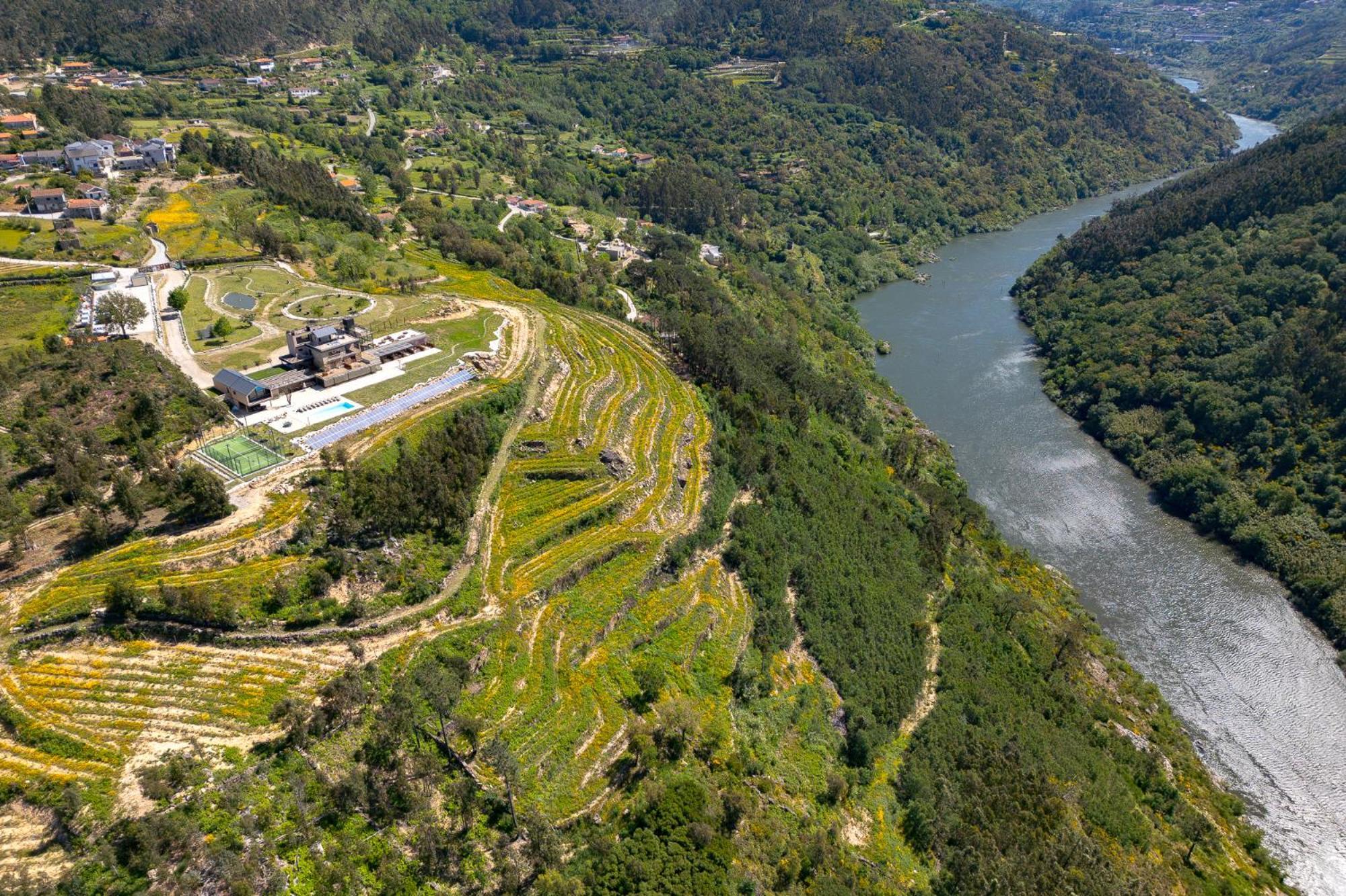 Quinta De Cabanas Douro Country House Penha Longa Екстер'єр фото